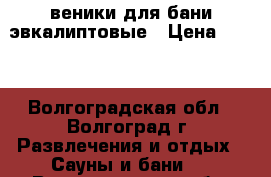веники для бани эвкалиптовые › Цена ­ 500 - Волгоградская обл., Волгоград г. Развлечения и отдых » Сауны и бани   . Волгоградская обл.